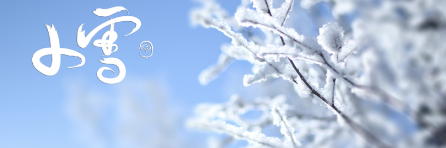 小雪丨雪落天地寒，愿君多珍重