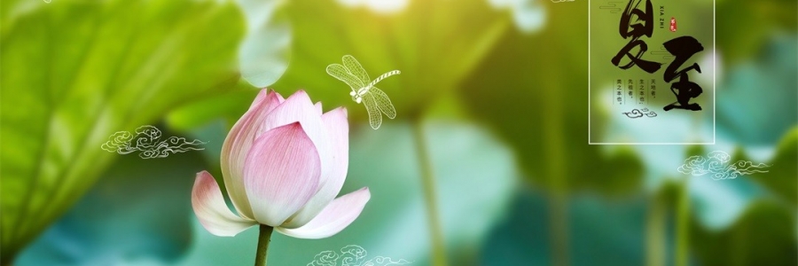 夏至 | 陽極陰生，美好日長