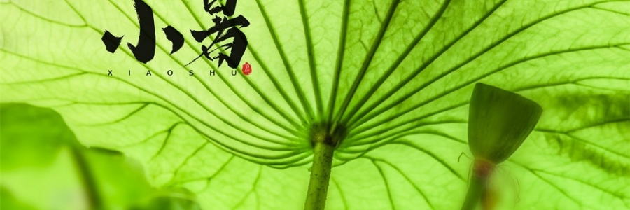 小暑 | 暑熱如歌，心靜生涼