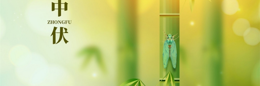 不想越扎越深？ 中伏拔病根，不做病床人！