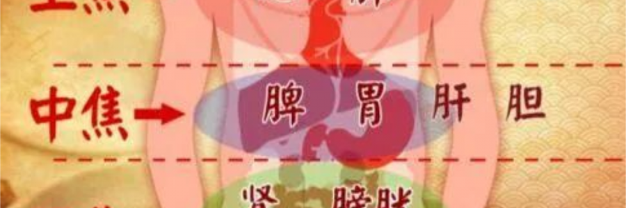 突破600億播放量的《羅剎海市》，竟然還暗藏中醫(yī)奧秘？