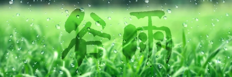 谷雨丨健脾祛濕，安然迎夏