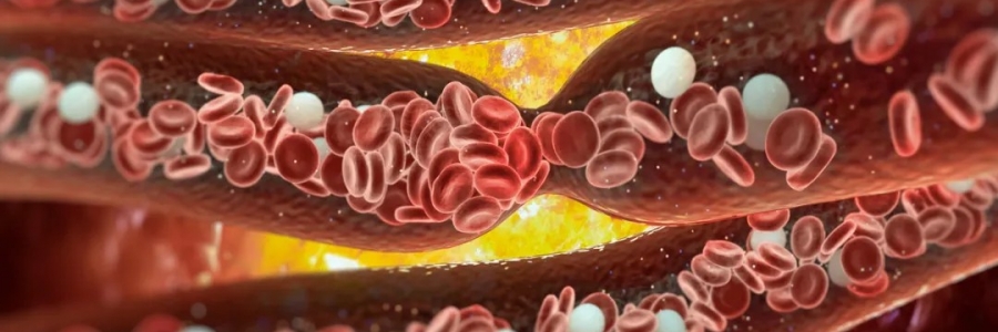 經絡通，百病消！身體經絡通了是什么感覺？