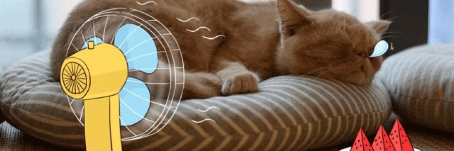 越睡越困的夏天，一個穴位趕走疲倦……