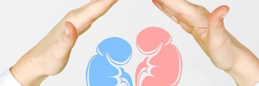 兩個人體的“長壽穴”，每天揉一揉，健康又長壽