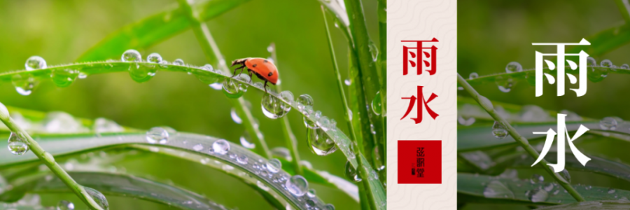 雨水 | 寒濕風(fēng)邪入，艾灸來相助