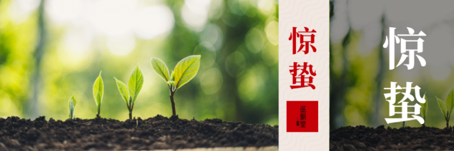 驚蟄 | 驚起春潮，蟄動萬物