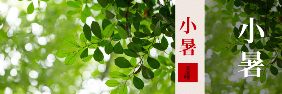 小暑 | 暑熱困乏，長夏養生