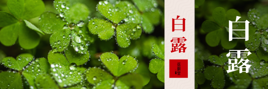 白露｜露凝秋涼 溫元防燥